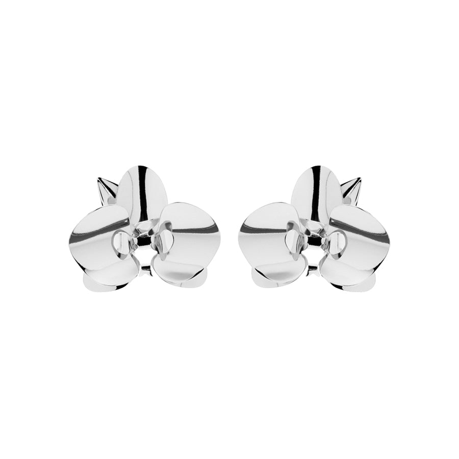 Evolua Earring