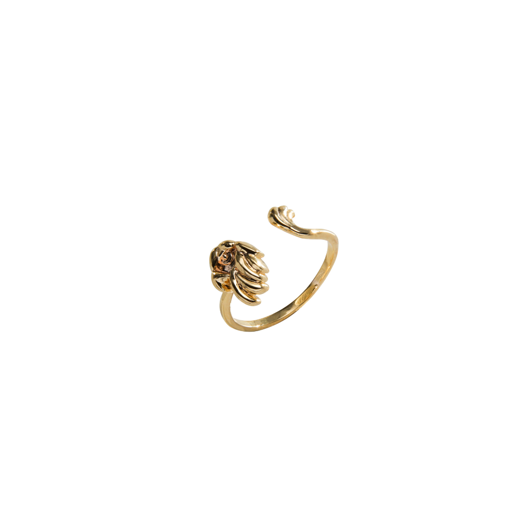Aguiazinha Ring