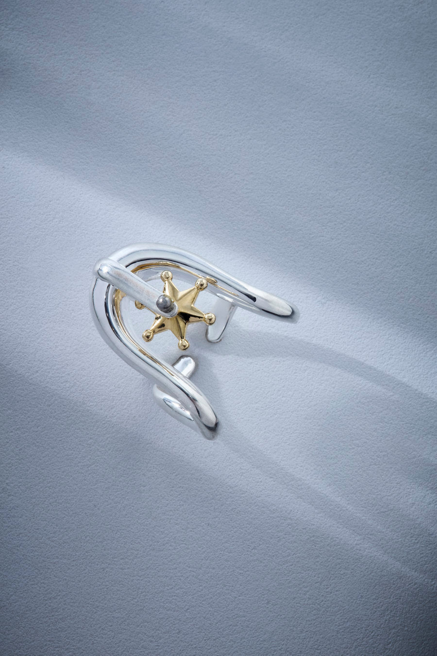 Autoridade Ring