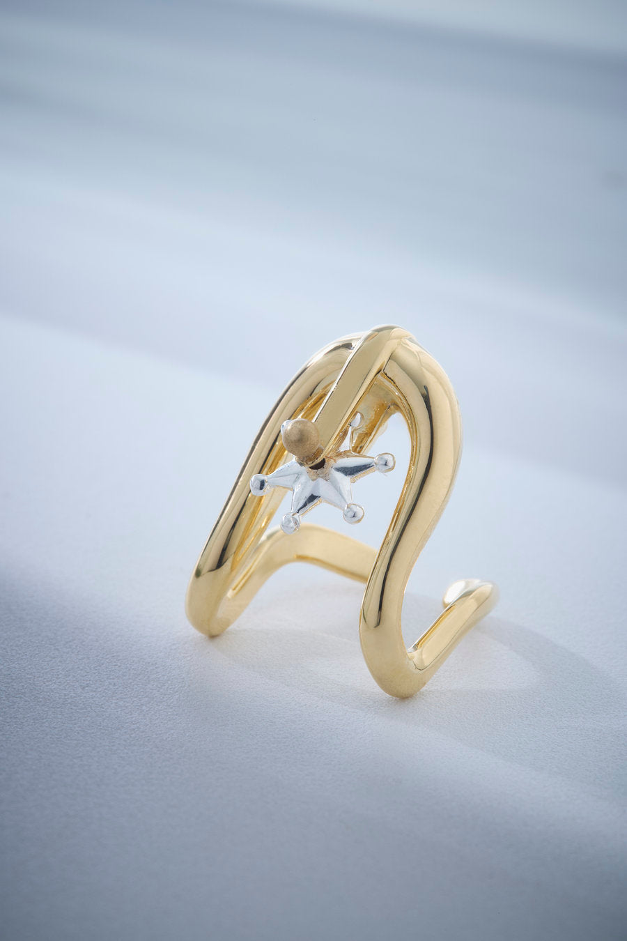Autoridade Ring