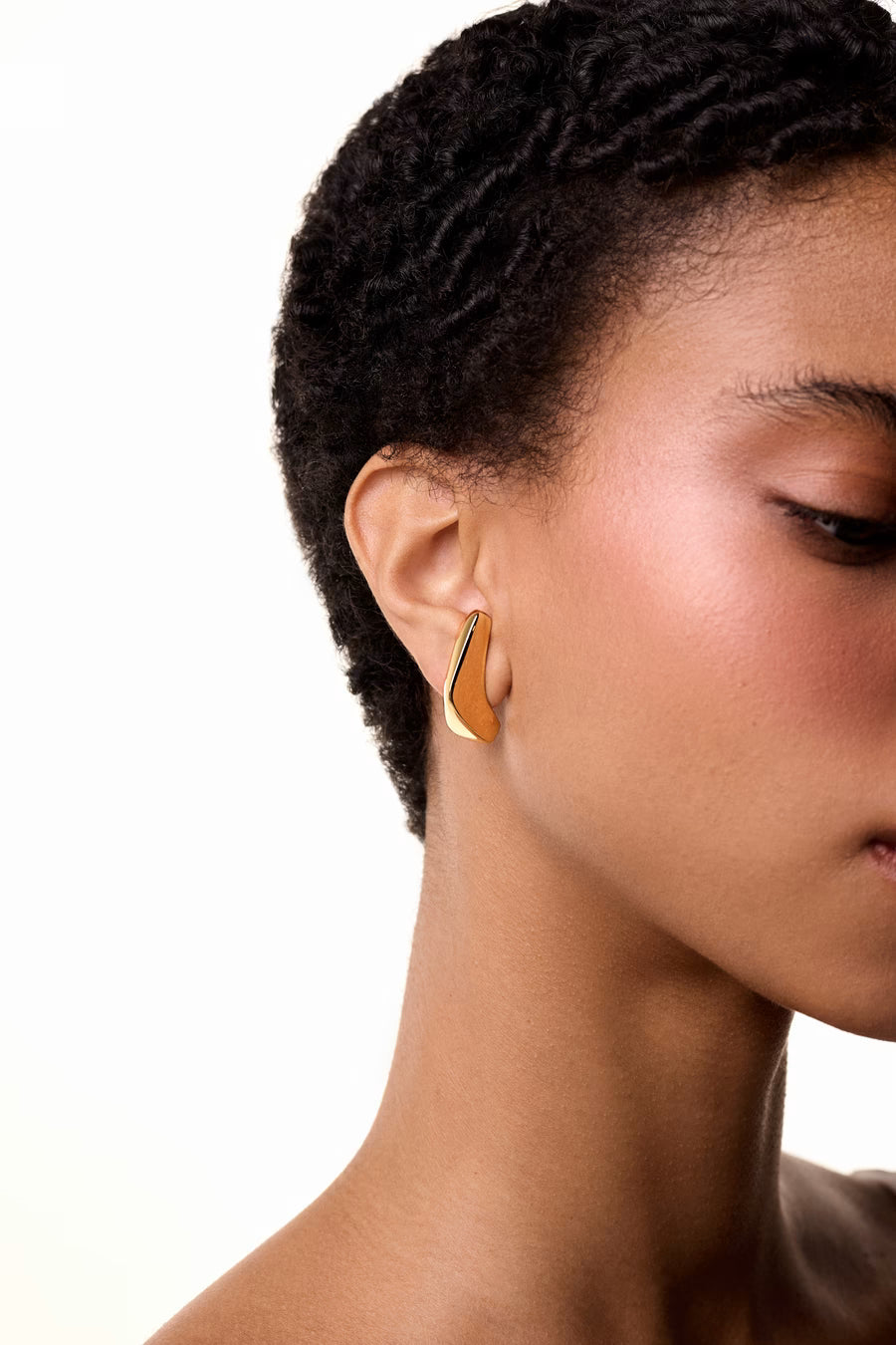 Dualis Earhook