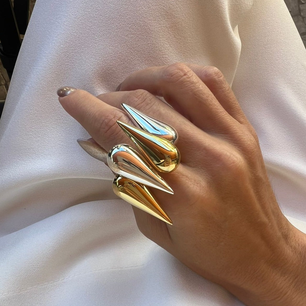 Tuiuiu Ring